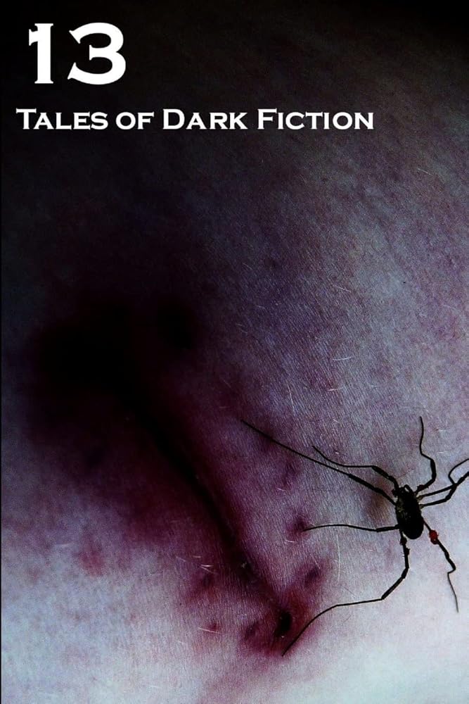 13: Tales Of Dark Fiction cover image