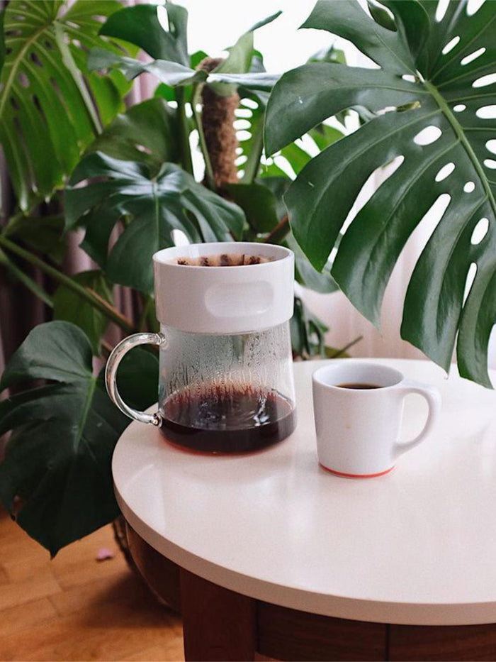 Photo of 8-Cup Pourover Set ( ) [ ] [ Pourover Brewers ]