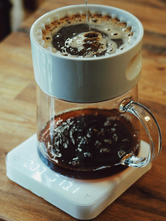 Photo of 8-Cup Pourover Set ( ) [ ] [ Pourover Brewers ]
