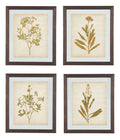 Dyani - Brown - Wall Art Set (Set of 4)