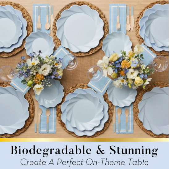 Eco Dinner Plate- Sky Blue