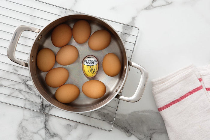Egg Timer