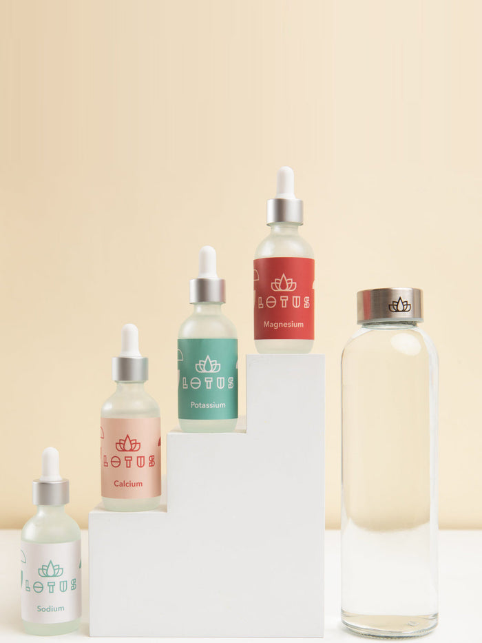 Photo of LOTUS WATER Complete Set ( ) [ Lotus Coffee Products ] [ Brewing Accessories ]