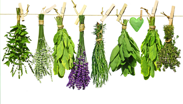 Lunch and Learn: Cooking with Herbs 9/23/2026 11:30am