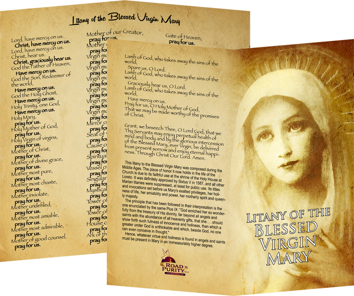 Marian Devotion Bundle original image 6