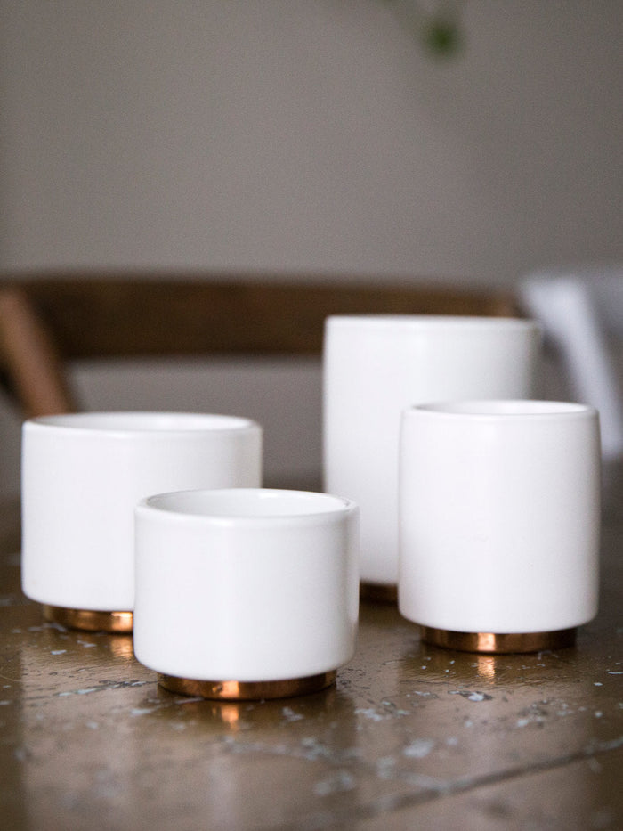 Photo of FELLOW Monty Espresso Cups (3oz/89ml) (2-Pack) ( ) [ Fellow ] [ Coffee Cups ]