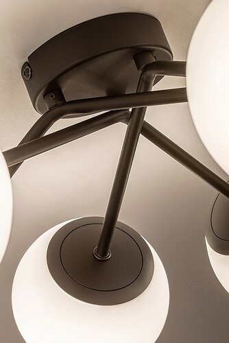 Plafonjera Meduza