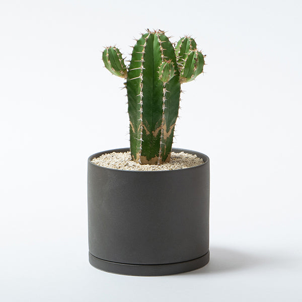 Photo of KINTO PLANT POT 191 135mm ( ) [ KINTO ] [ Plant Pots ]