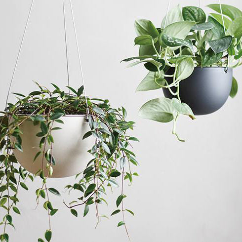 Photo of KINTO PLANT POT 201 140mm ( ) [ KINTO ] [ Plant Pots ]