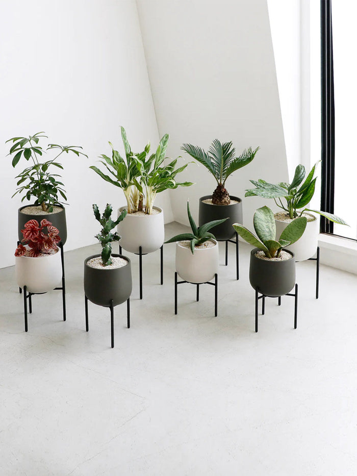 Photo of KINTO PLANT POT 211 (135mm/5.4in) ( ) [ KINTO ] [ Plant Pots ]