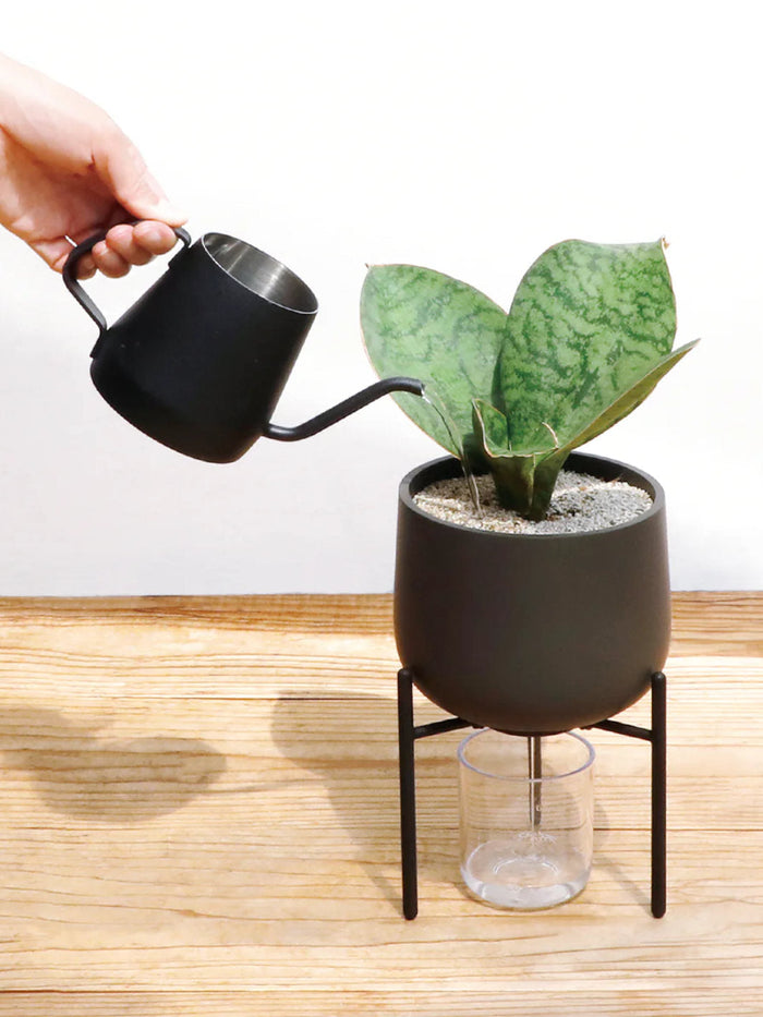 Photo of KINTO PLANT POT 211 (135mm/5.4in) ( ) [ KINTO ] [ Plant Pots ]
