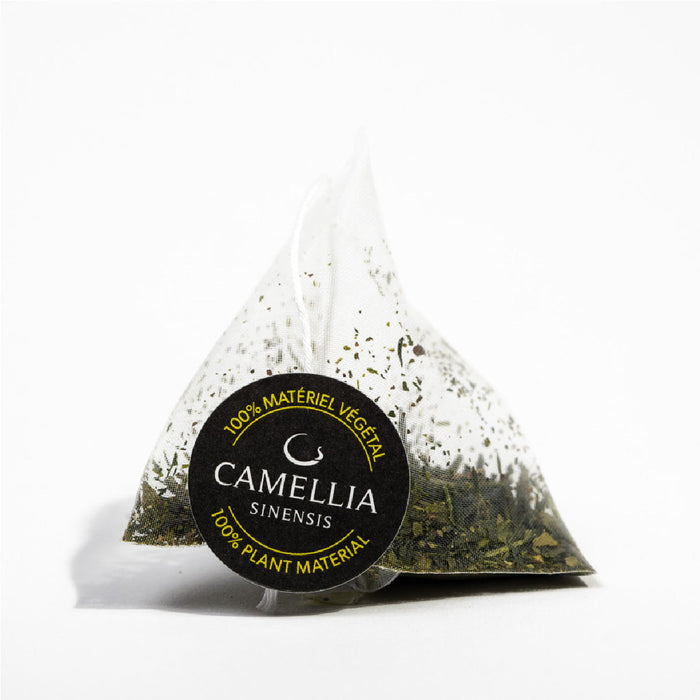 Photo of Camellia Sinensis - Sencha Nagashima Organic (bag of 12 teabags) ( ) [ Camellia Sinensis ] [ Tea ]