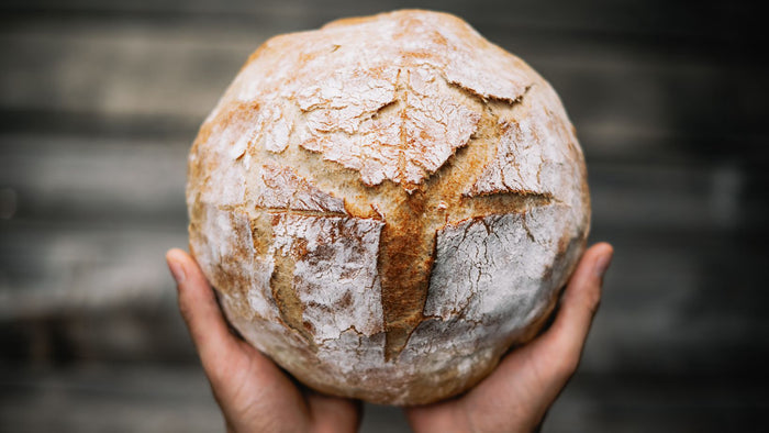 Sourdough 9/27/2026 2pm