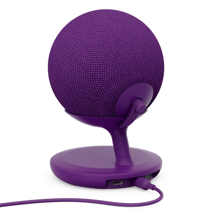 Stand with USB-C Charging Ports for Echo Dot Max - Amethyst